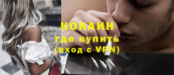 шишки Абаза