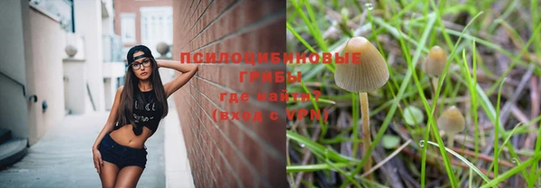 гашик Алзамай