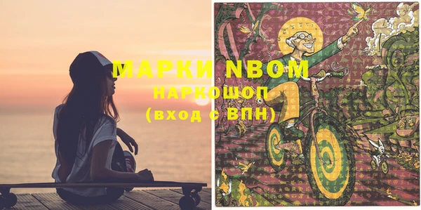 гидра Няндома