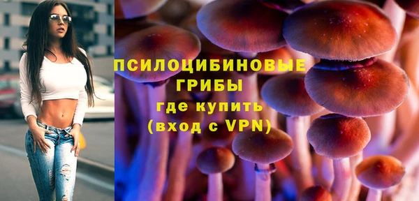 синтетический гашиш Алексин